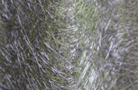 Dryhill fibreglass roof work