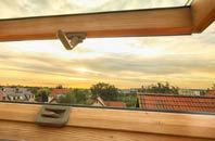 rated Dryhill roof window companies